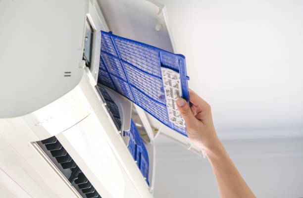 Best Affordable Air Duct Cleaning  in Shenandoah, LA